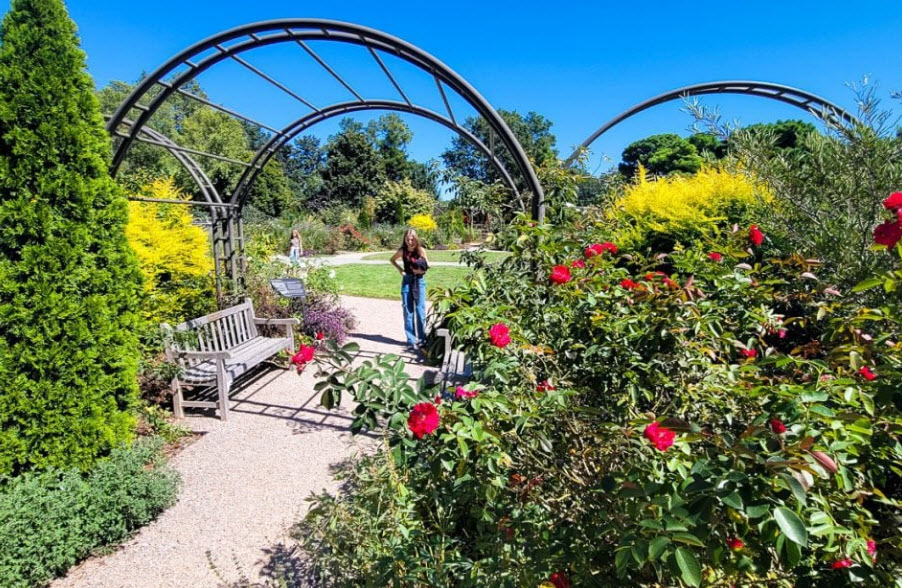 JC Raulston Arboretum, United States